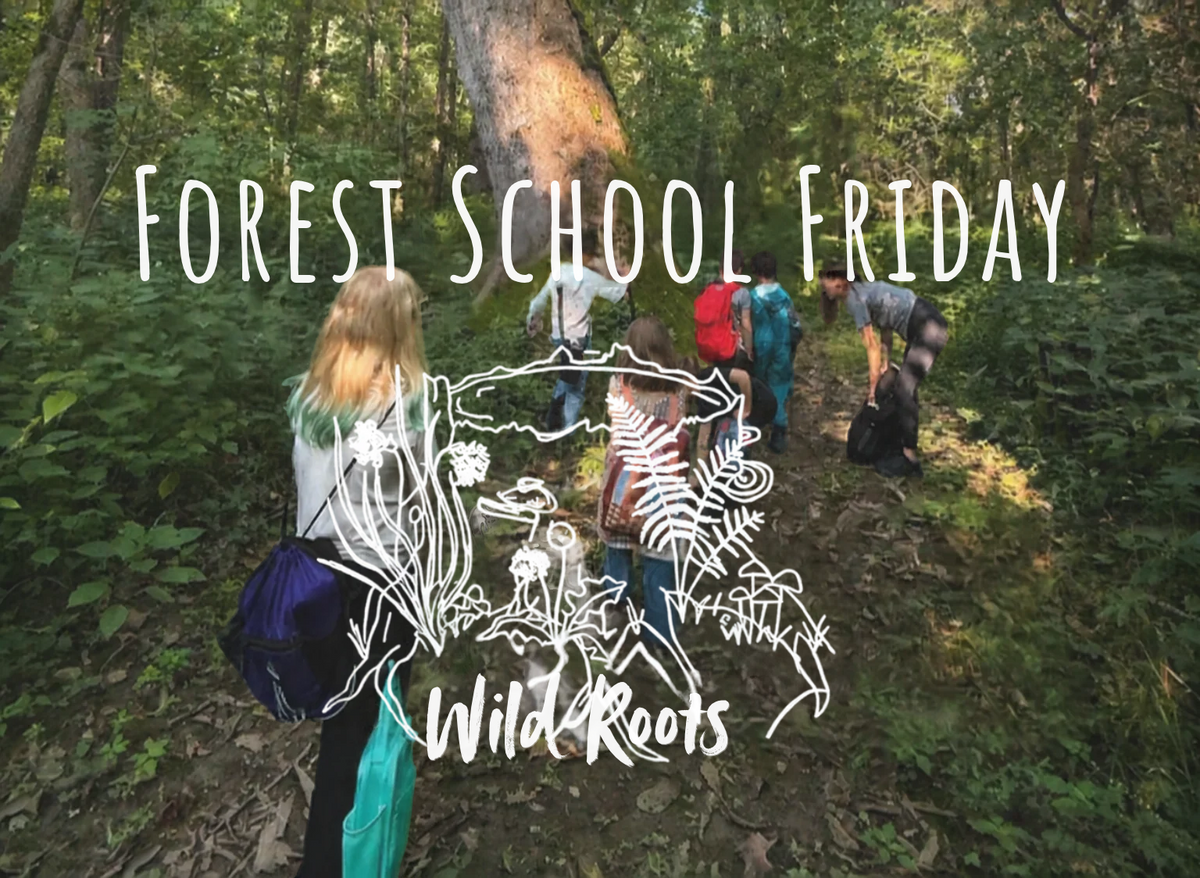 Wild Roots Forest School Friday: Nov 6th, 2026