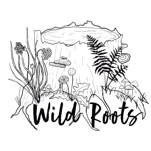 Wild Roots Nature Based Learning