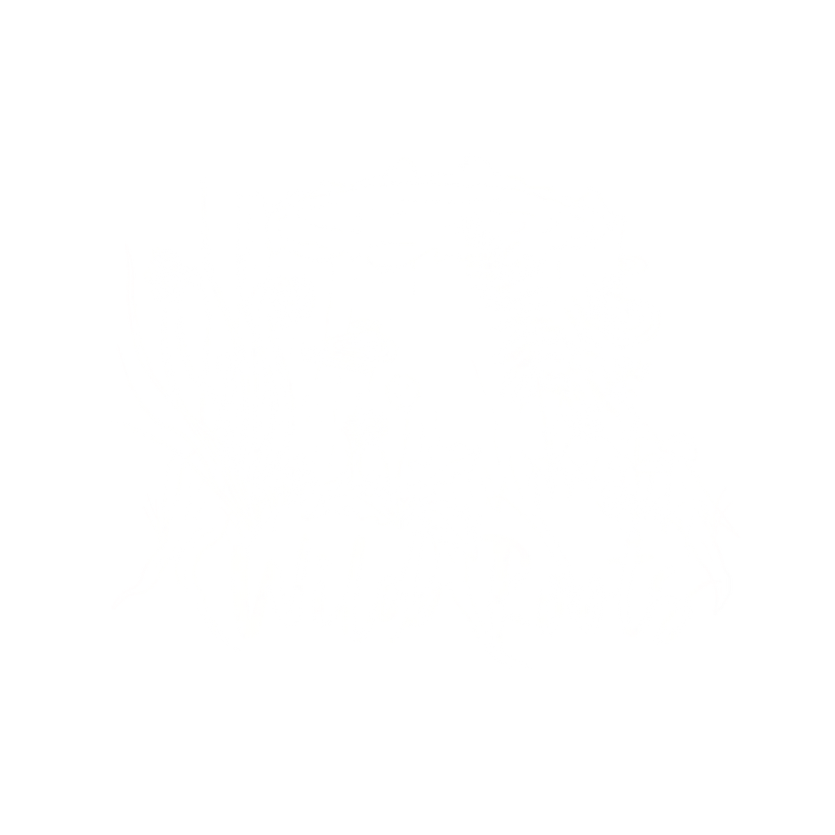 Wild Roots Fall Fridays in the Forest: October 16th, 2026