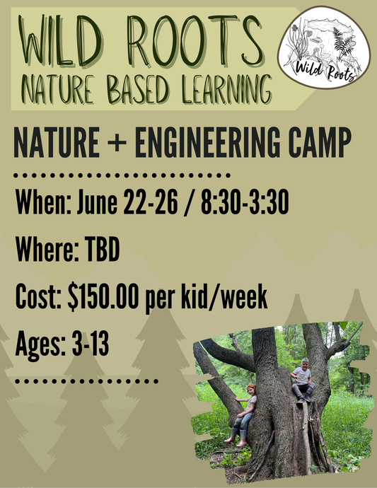 Summer Camp // Week 3: Nature & Engineering // June 22-26, 2026
