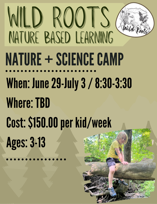 Summer Camp // Week 4: Nature & Science // June 29-July 3, 2026