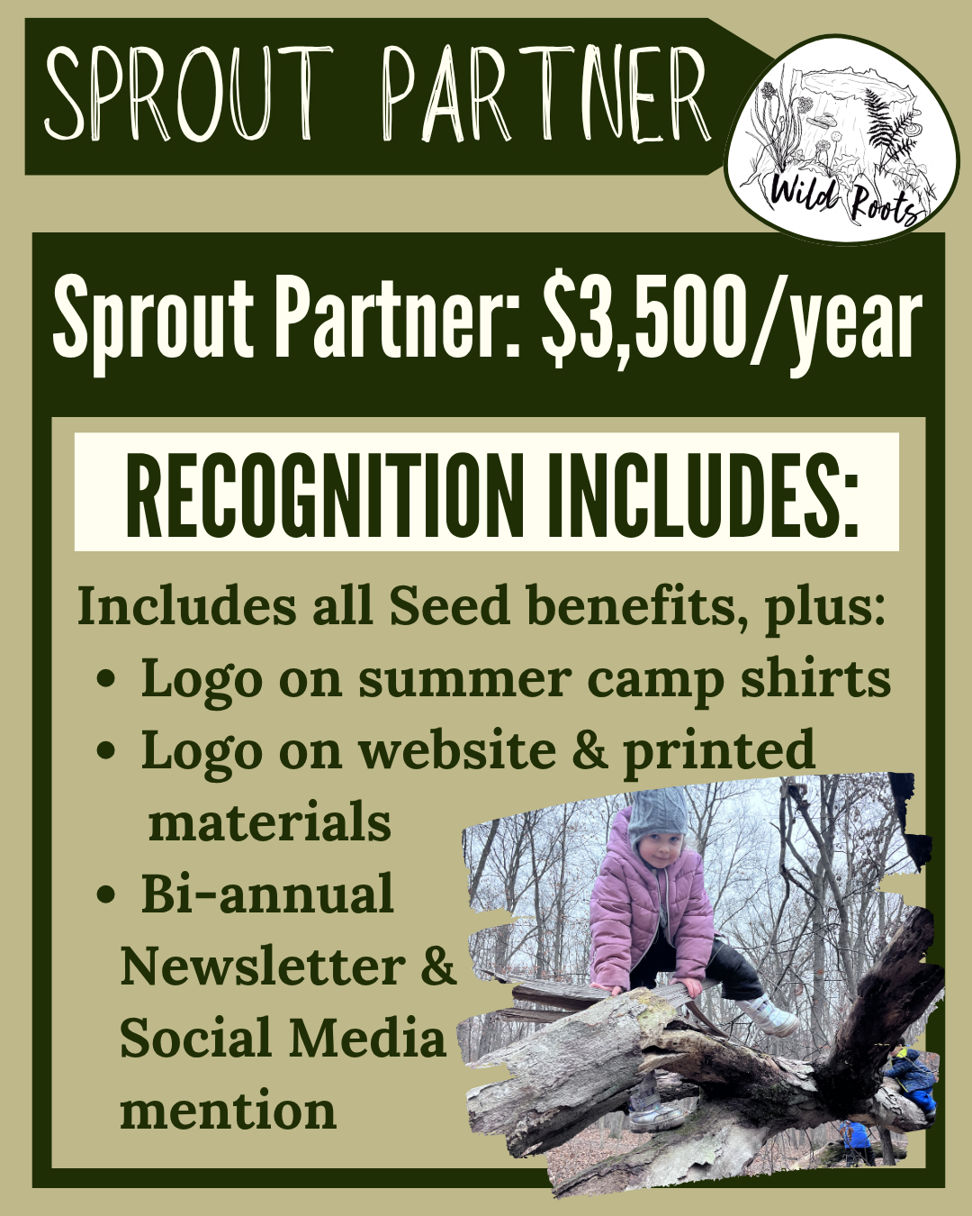 Corporate Sponsorship: Sprout Partner