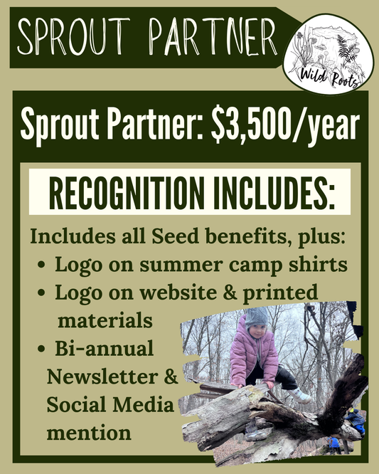 Corporate Sponsorship: Sprout Partner