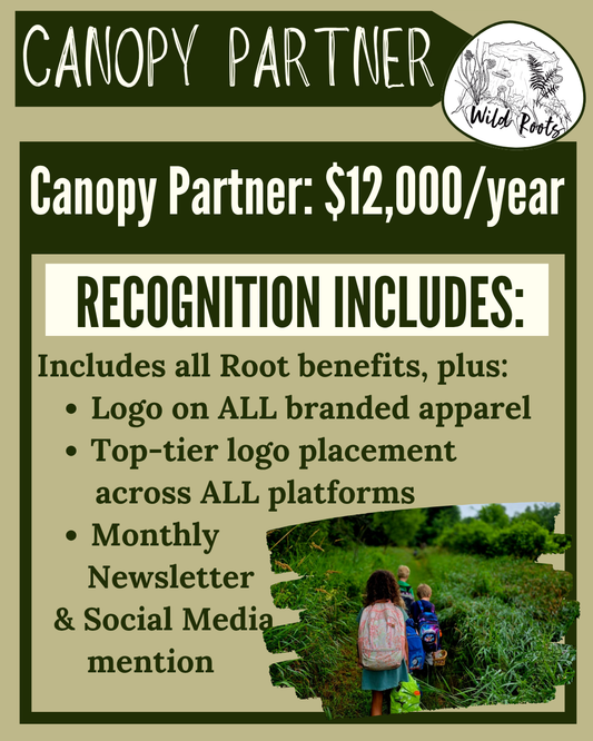 Corporate Sponsorship: Canopy Partner
