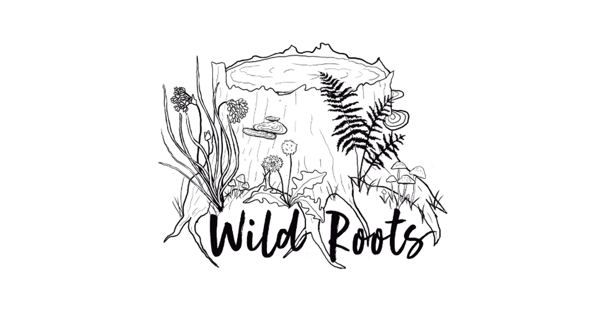 Wild Roots Mission, Vision, & Values – Wild Roots Nature Based Learning