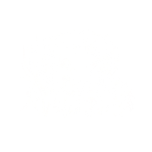 Wild Roots Nature Based Learning