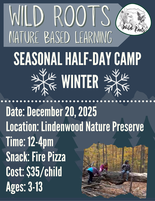 Winter Half-Day Camp // December 20, 2025 // 12-4pm