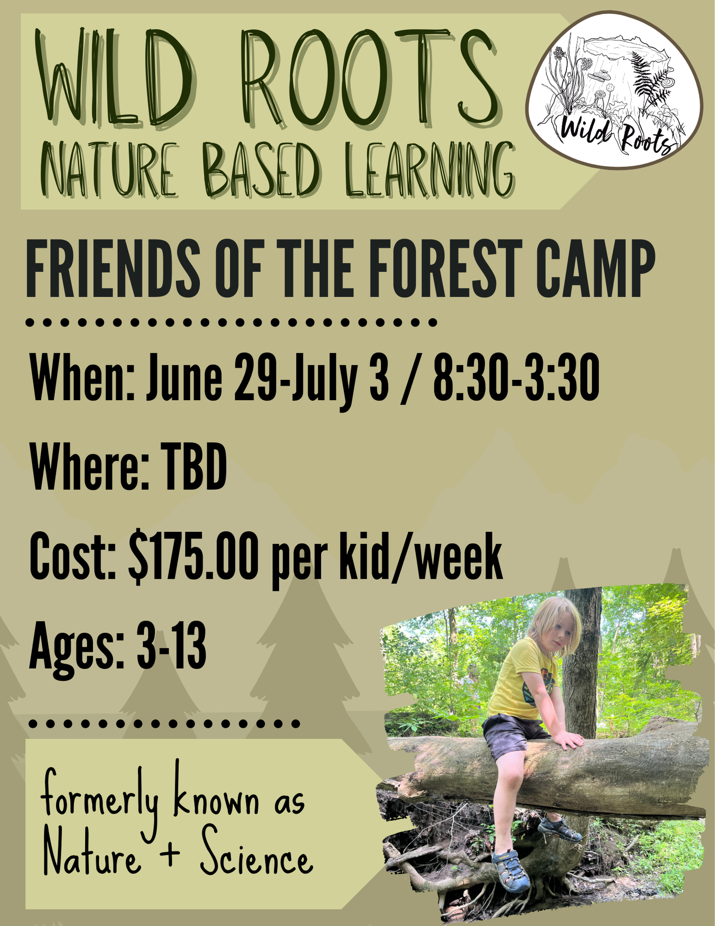 Summer Camp // Week 4: Friends of the Forest // June 29-July 3, 2026