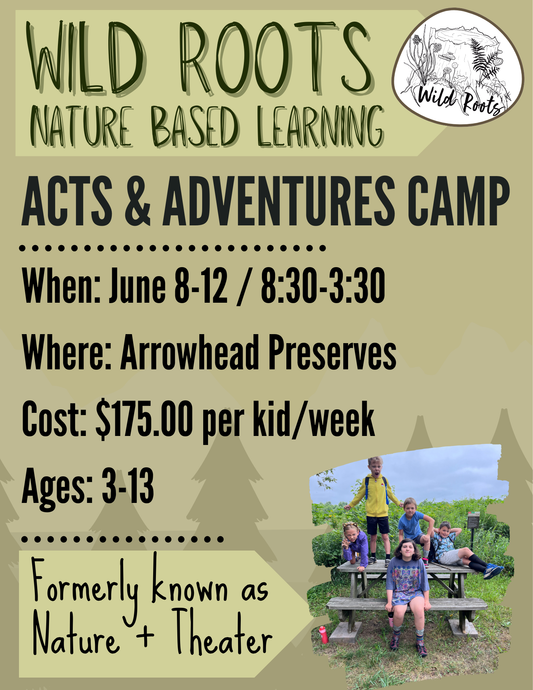 Summer Camp // Week 2: Acts & Adventures // June 8-12, 2026