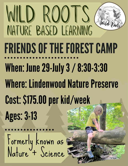 Summer Camp // Week 4: Friends of the Forest // June 29-July 3, 2026