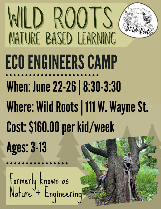 Summer Camp // Week 3: Eco Engineers // June 22-26, 2026
