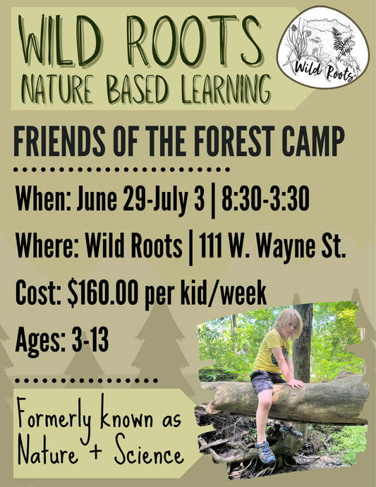 Summer Camp // Week 4: Friends of the Forest // June 29-July 3, 2026