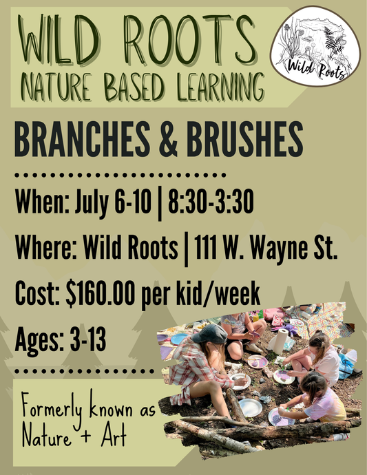 Summer Camp // Week 5: Branches & Brushes // July 6-10, 2026