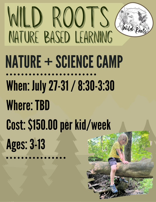 Summer Camp // Week 8: Nature & Science // July 27-31, 2026